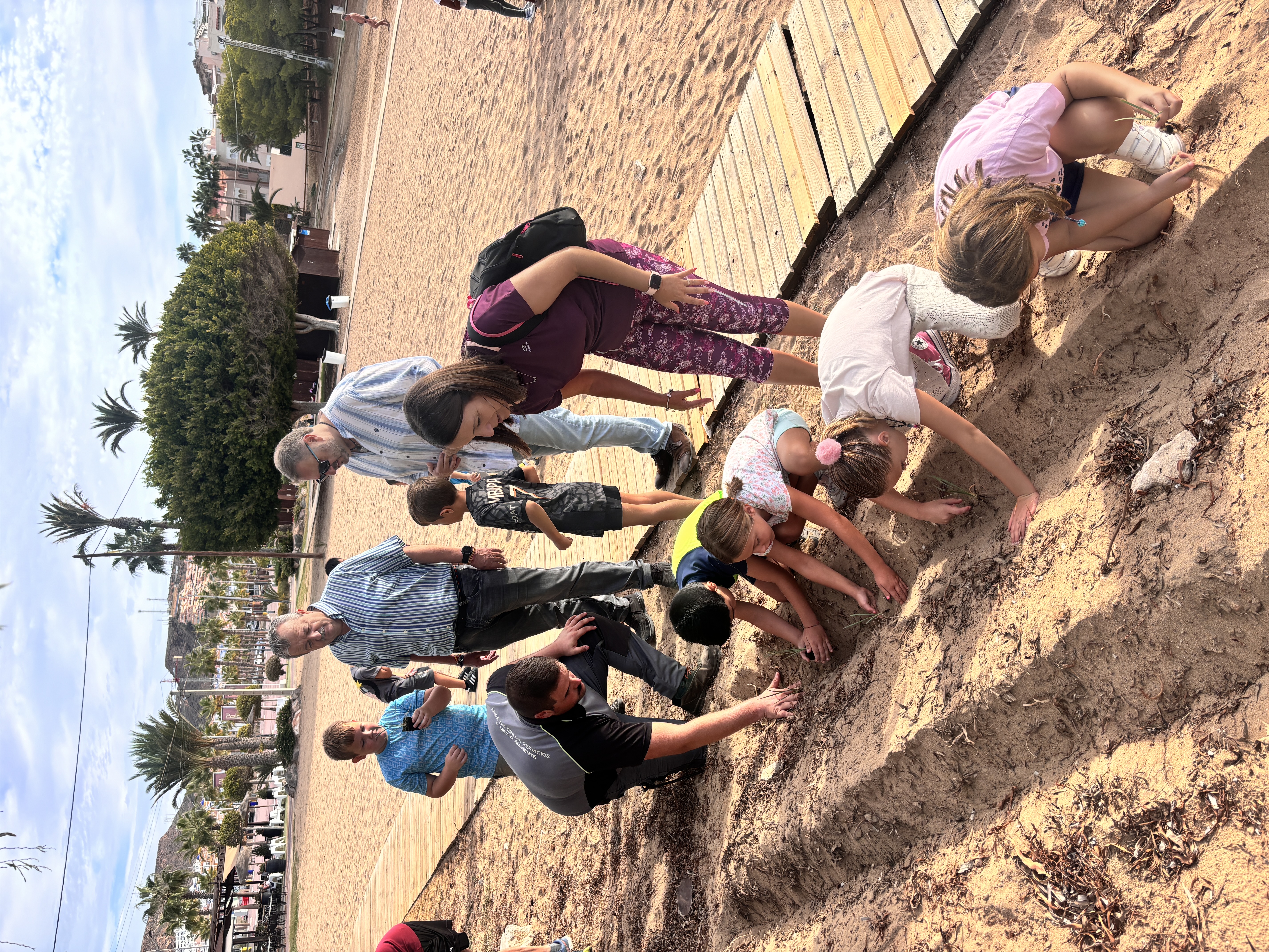 Proyecto de recuperación y reforestación de Lirio de Mar en la costa de San Juan de los Terreros con la plantación de más de 700 ejemplares de esta especie autóctona